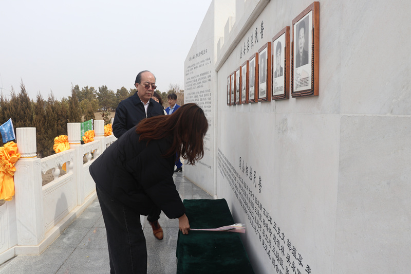 1749538923495597.jpg IMG_1310.JPG